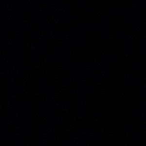 Meet your Posher, Jack